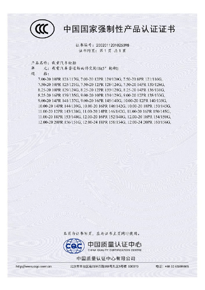 2002011201025398 Truck Ordinary Cross Section Diagonal Tire - Chinese Version 02
